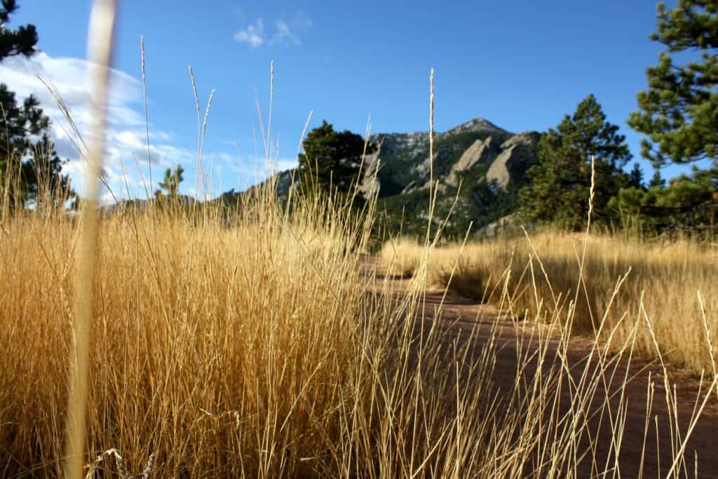 Trail Running Through a Meadow at NCAR near Longmont