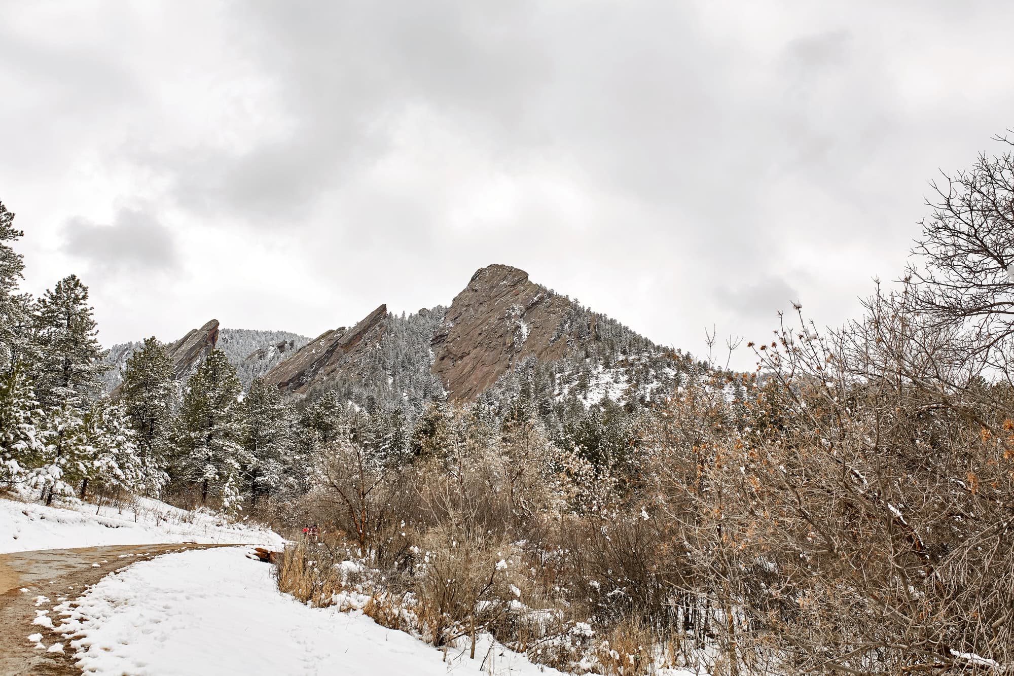 Snow in Chautauqua Park, Colorado