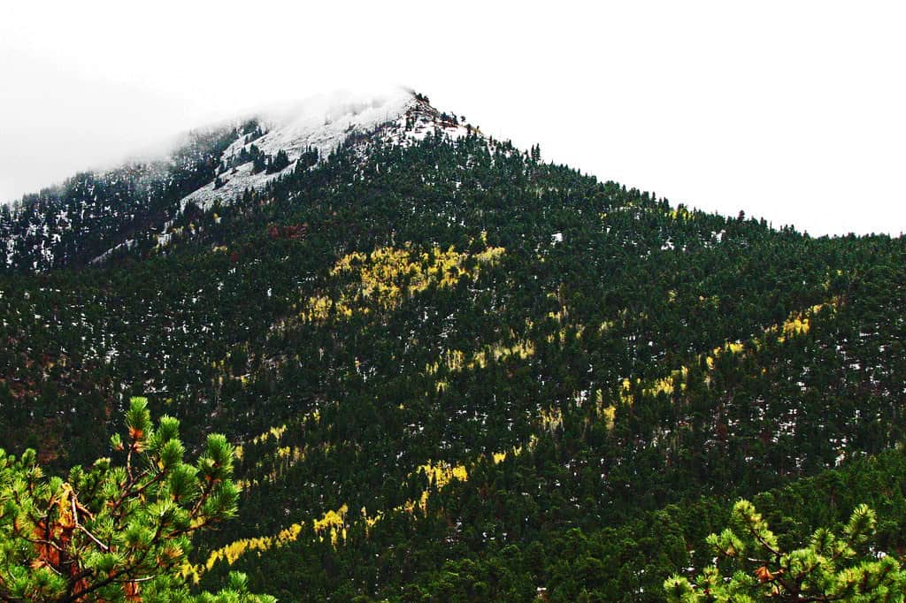 Sugarloaf Mountain near Betasso Preserve, Boulder