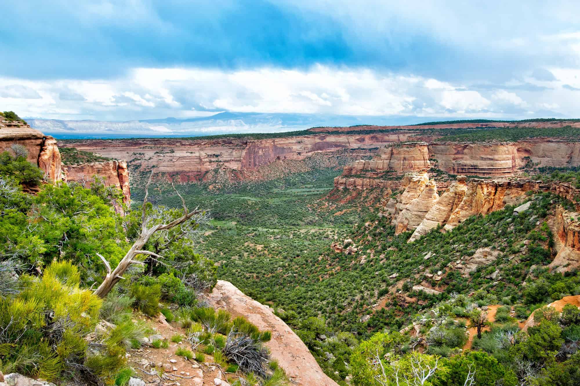 Landscape photo of a canyon at Colorado National Monument