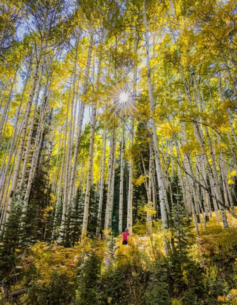 Colorado fall mountain scene by Longmont photographer Kelly Jones