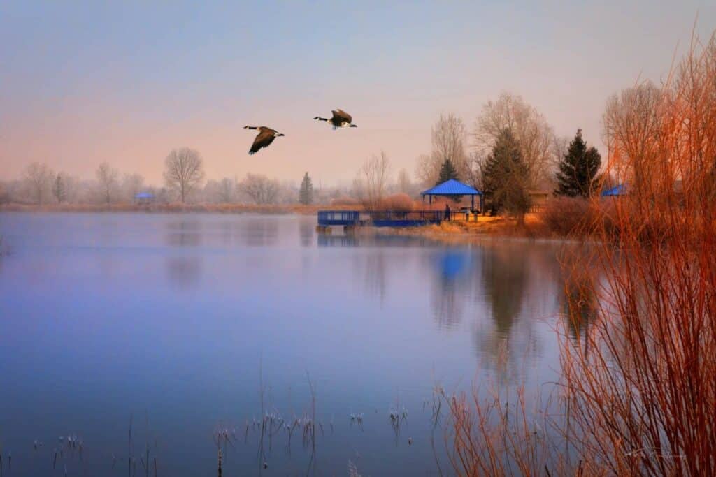 longmont golden ponds by photographer Kelly Jones