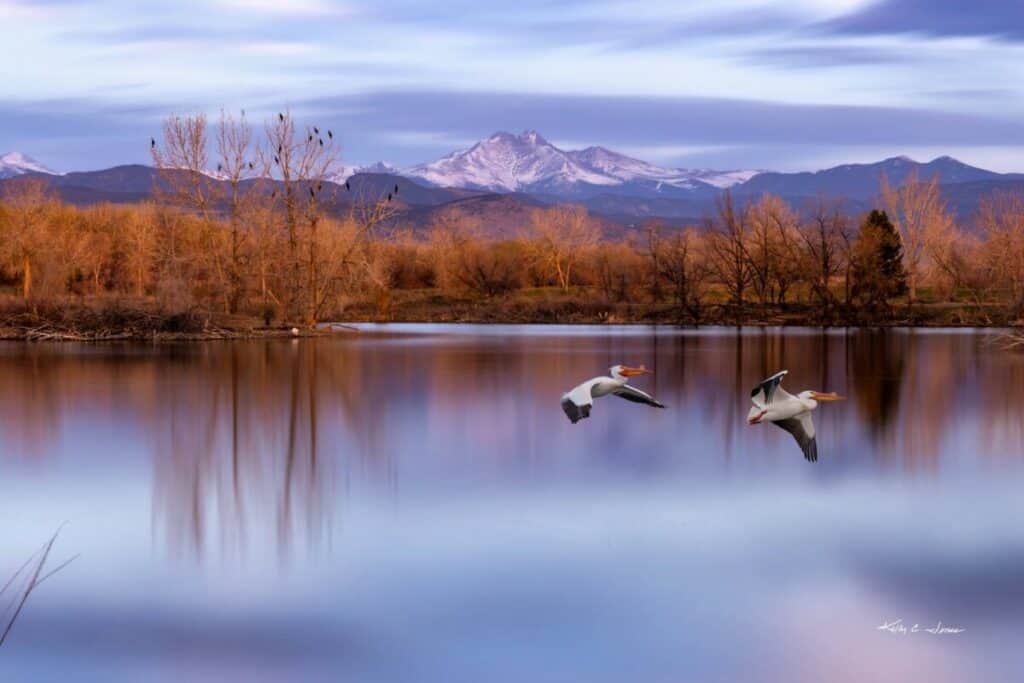 Golden Ponds park in Longmont, mountains, water, birds, by Kelly Jones