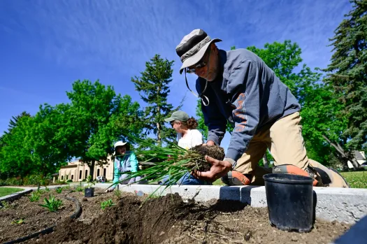 Volunteering at Longmont City Parks