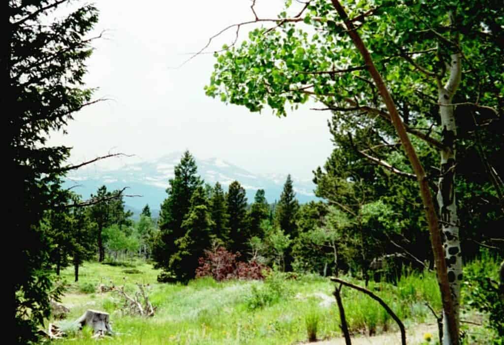 Try Campgrounds near Longmont CO in the Mountains such as Ceran St Vrain