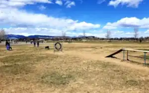 Longmont Dog Parks - Where to Take Your Dog Offleash in Longmont - Longmont Ledger