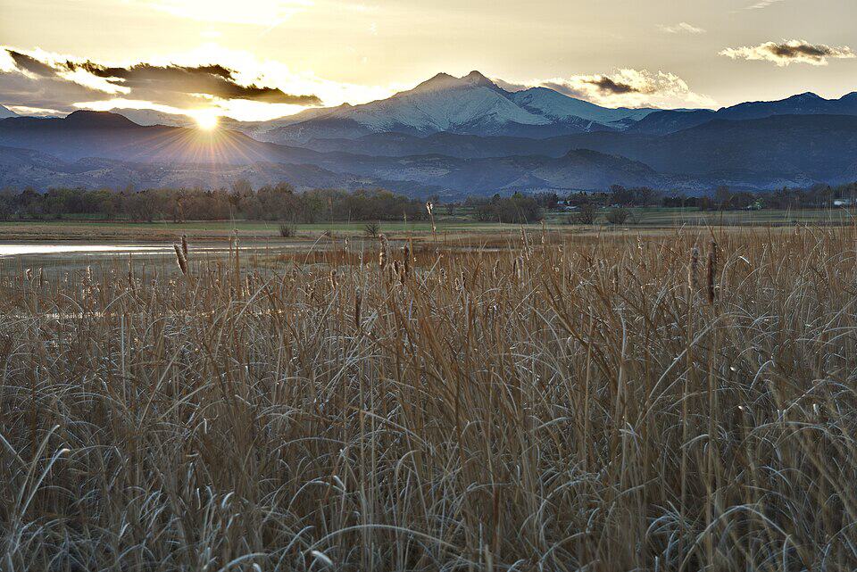 United Nations Disaster Risk Reduction Resilience Hub - Longmont Colorado - Longmont Ledger