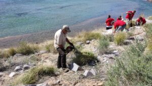 Colorado Nonprofit Restoring Wildlands in Boulder County & Beyond - Longmont Ledger