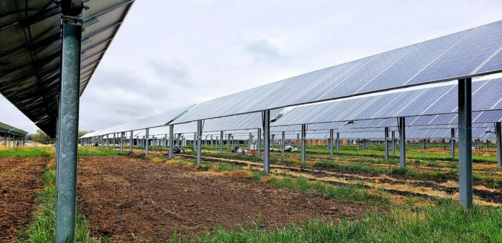 Jack's Solar Garden - America's Leading Agrivoltaics Research Center - Solar Farm in Longmont CO - Longmont Ledger
