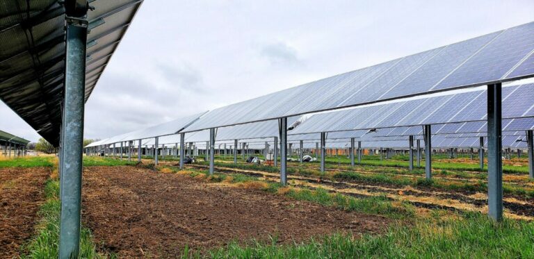 Jack's Solar Garden - America's Leading Agrivoltaics Research Center - Solar Farm in Longmont CO - Longmont Ledger
