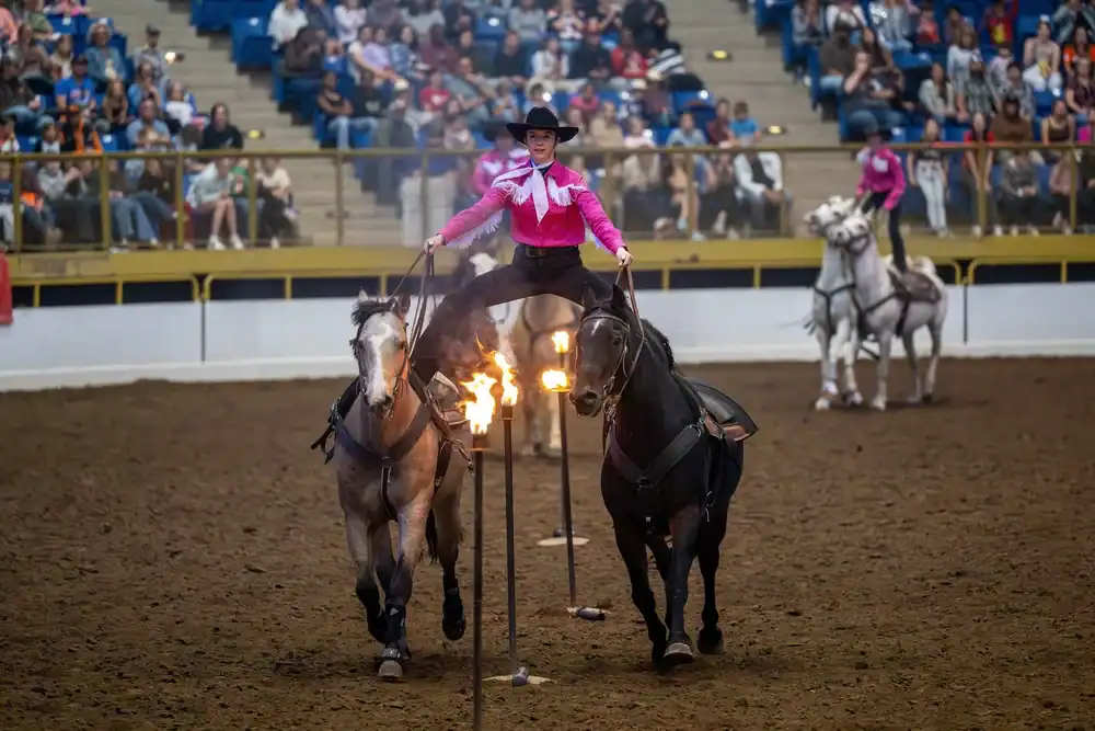 Roman Riding - Westernaires Horse Extravaganza Comes to Longmont - Longmont Ledger