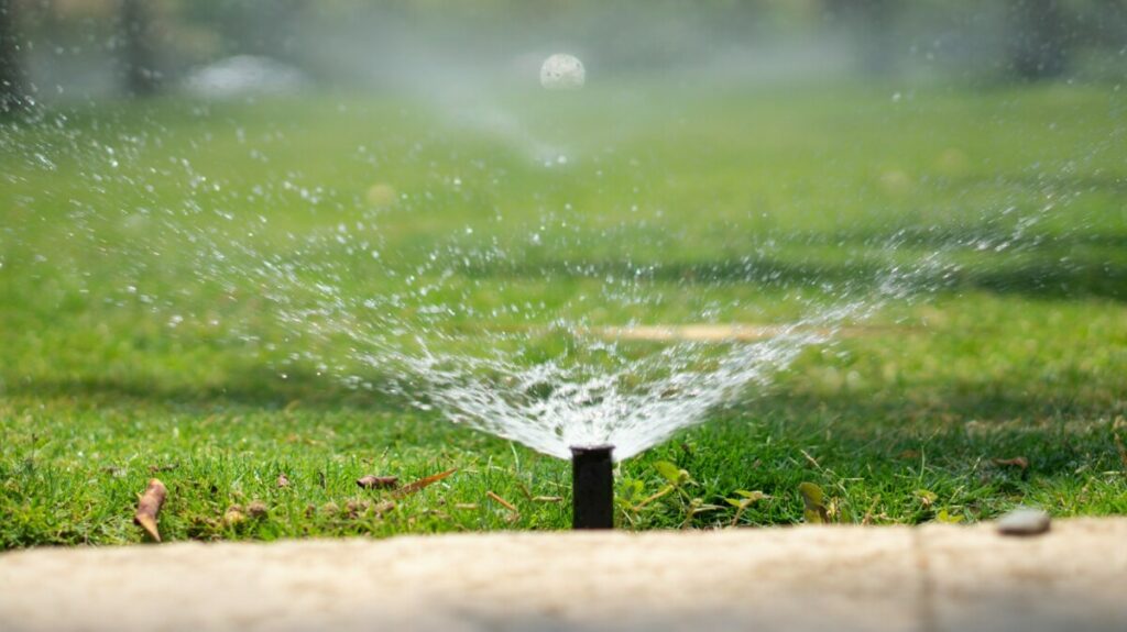 Seasonal Watering Tips for Grass & Lawns in Colorado - Longmont Ledger