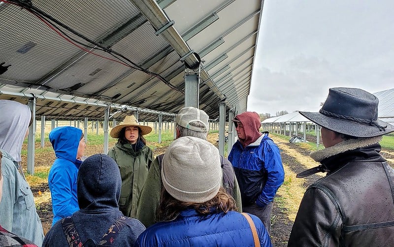 Tours at Jack's Solar Garden Longmont CO - Longmont Ledger