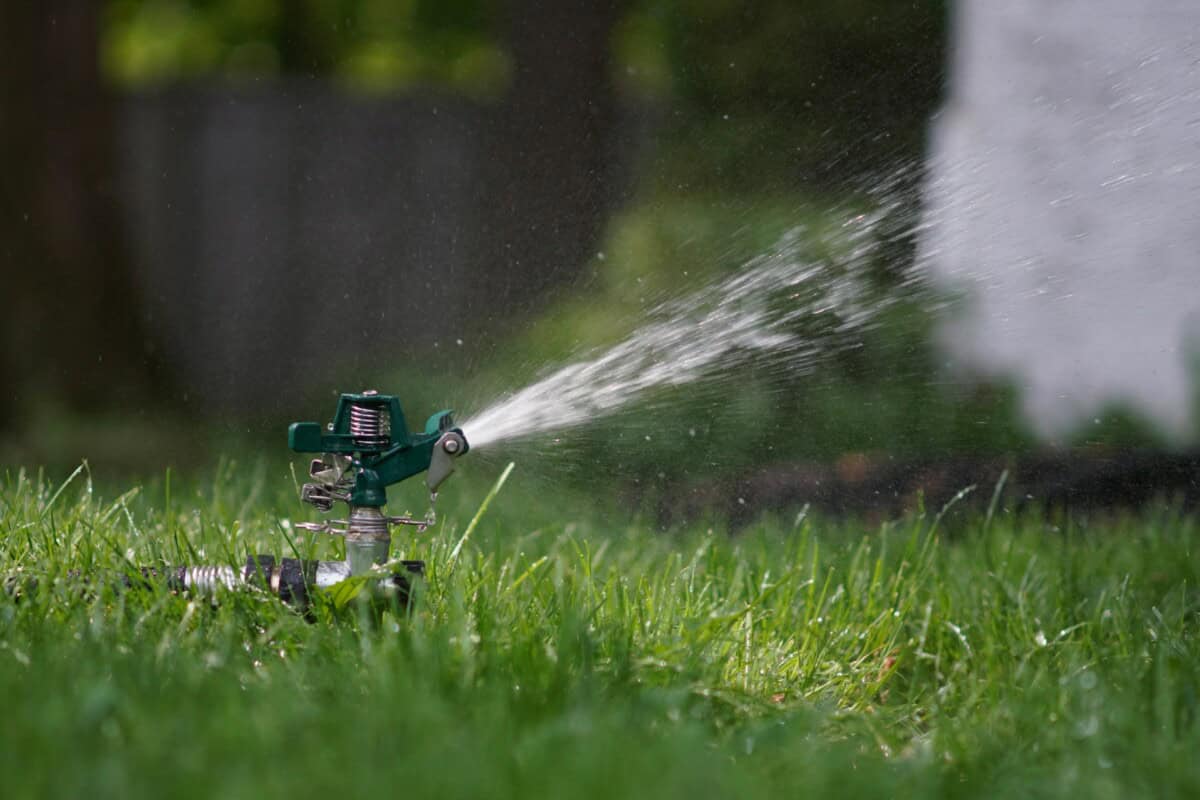 What is the best time to water your lawn in Colorado - Drought & Grass Watering Schedules - Longmont Ledger